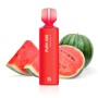 PURA 600 WATERMELON